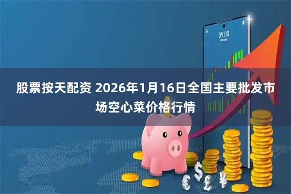 股票按天配资 2026年1月16日全国主要批发市场空心菜价格行情